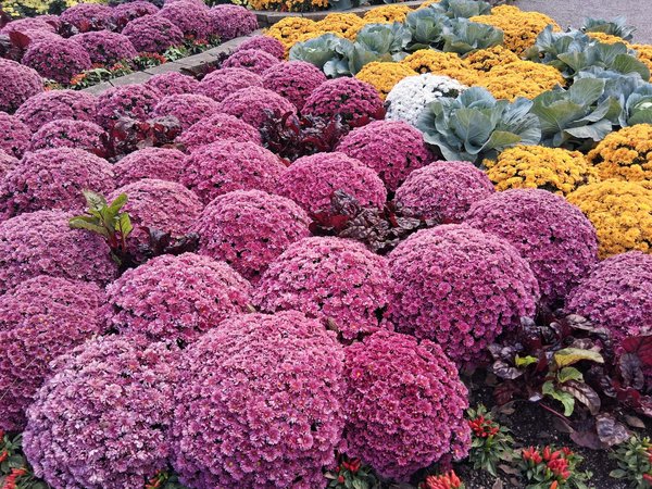 Explore exquisite 19th-century french timepieces by master craftsmen